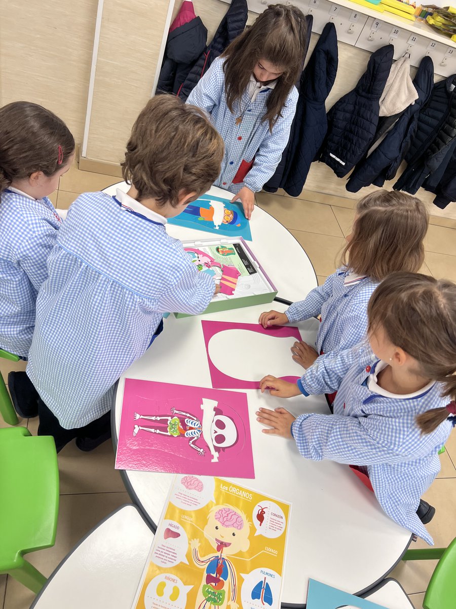 cmp_castro's tweet photo. UBPI. Los alumnos de 1º de primaria ha dado comienzo a su última realidad titulada "¿Qué me pasa, doctor?", en la que conocerán el funcionamiento del cuerpo humano y la importancia del bienestar físico y emocional. https://t.co/zk2IMyL7m2