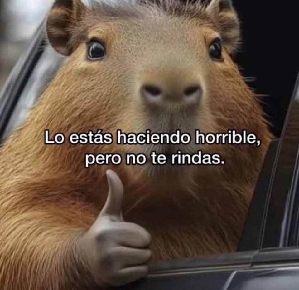 I N D I R E C T A S tweet media