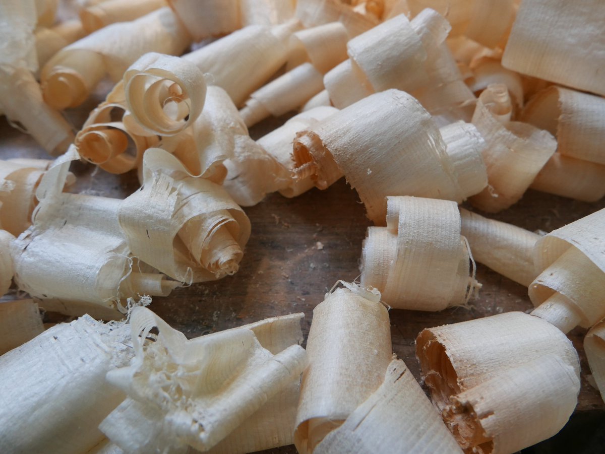 Big and broad curls of spruce, 

from plaining the long sides, 

to make the center joint of the topblade.

#violin #violinmaker #amsterdam