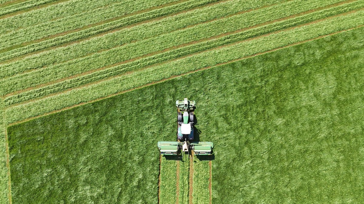 Silage season in full swing 🌾🚜 Mowing down quality for winter feed! #Silage2025 #OliverSeeds #GrassToGold