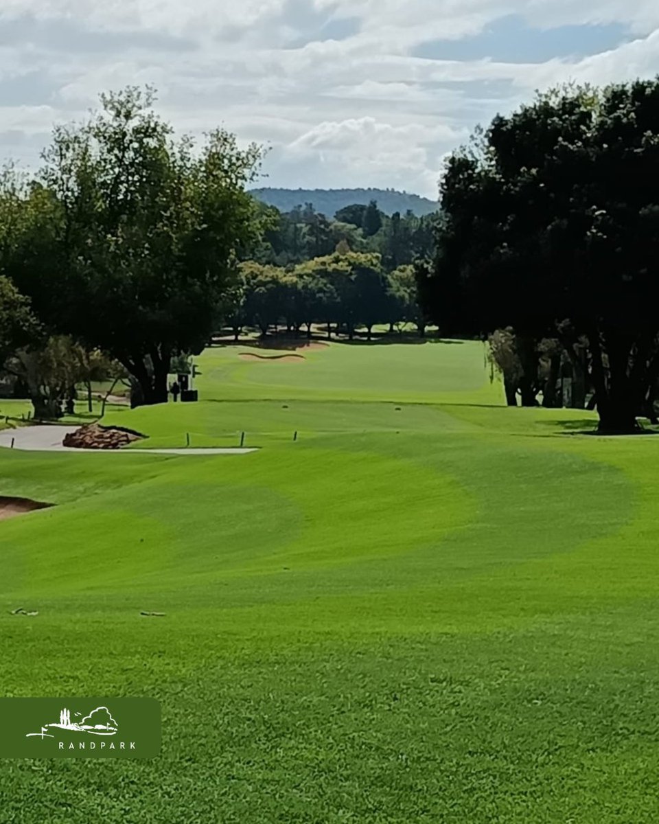 Randpark Golf Club tweet media