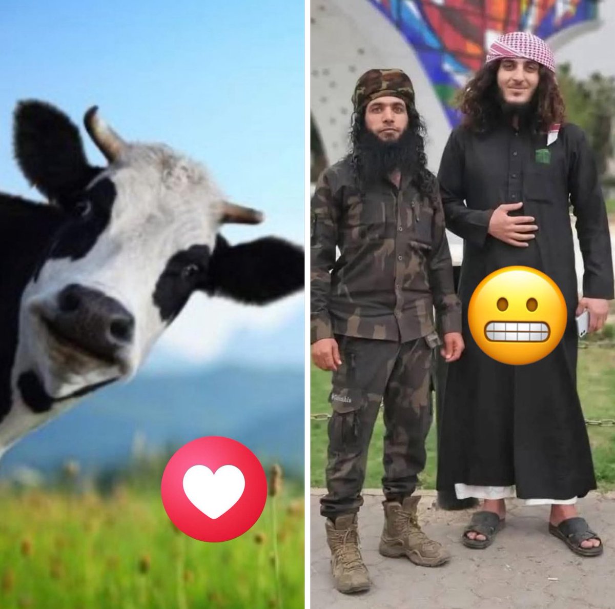 التحدي صعب  بتمنى التصويت يكون جدي و الكل يشارك لازم نوصل صوتنا للامم المتحدة ، ممنوع الضحك هل تنتخب ♥️  ولا الشوئسموا 🙄👇🏻👇🏻👇🏻؟؟؟