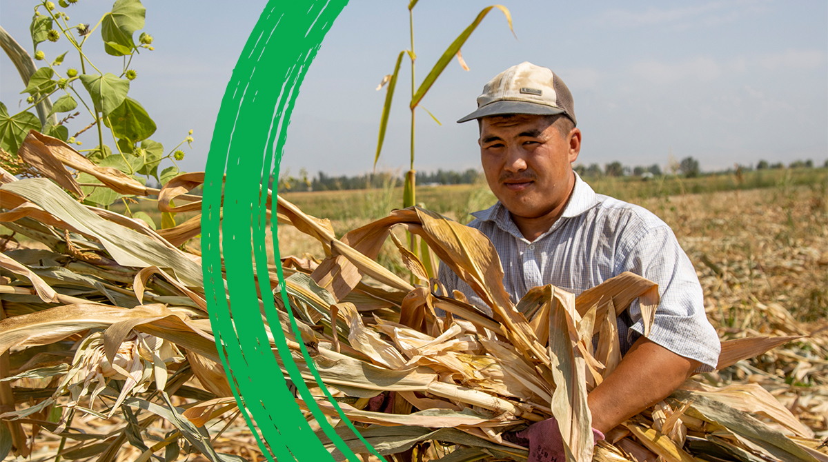 World Bank AgriFood (@wbg_agrifood) on Twitter photo 👨🏻🌾 Agriculture hasn’t disappeared as countries across Europe and Central Asia have grown richer.
Instead—as <a href="/anbassani/">Antonella Bassani</a>, <a href="/holgerkray/">Holger Kray</a> and <a href="/SamehNWahba/">Sameh Wahba</a> explain—it has evolved into a dynamic, integrated system that creates jobs and sustains rural communities: wrld.bg/3gfK50VNUbo 👨🏻🌾 Agriculture hasn’t disappeared as countries across Europe and Central Asia have grown richer.
Instead—as <a href="/anbassani/">Antonella Bassani</a>, <a href="/holgerkray/">Holger Kray</a> and <a href="/SamehNWahba/">Sameh Wahba</a> explain—it has evolved into a dynamic, integrated system that creates jobs and sustains rural communities: wrld.bg/3gfK50VNUbo