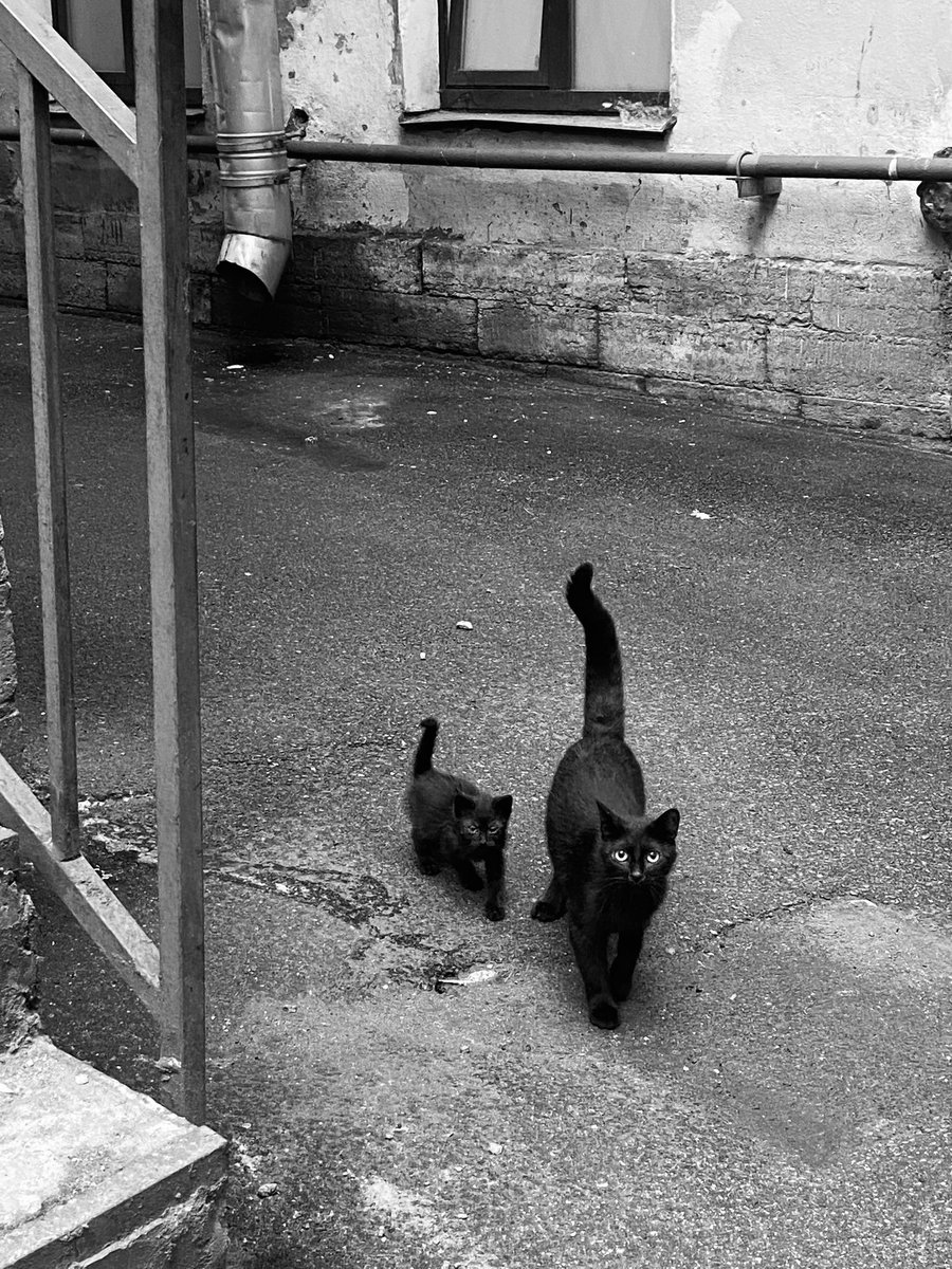 сегодня какой-то хороший день

а на фото маленькая черная молекула, выращиваем и пристраиваем ее всем домом)