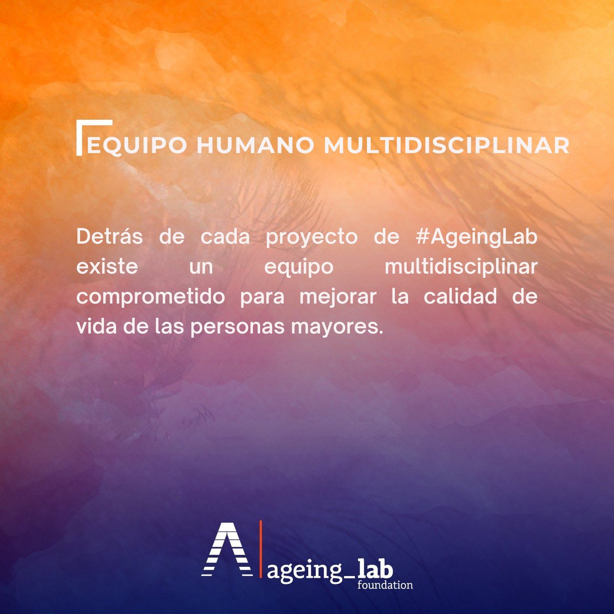 💼🔎​🧠​Detrás de cada proyecto de #AgeingLab existe un equipo multidisciplinar comprometido para mejorar la calidad de vida de las personas mayores.

🌐​Visita ageinglab.com y conoce todos los proyectos que realizamos.

#AgeingLab #InnovaciónSocial #Conocimiento