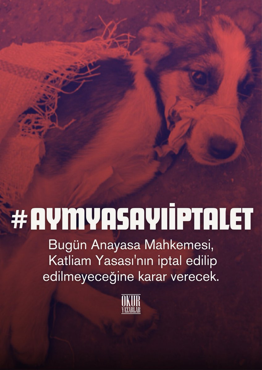 knutsamsun's tweet photo. #aymyasayıiptalet https://t.co/FISwaIxZYK