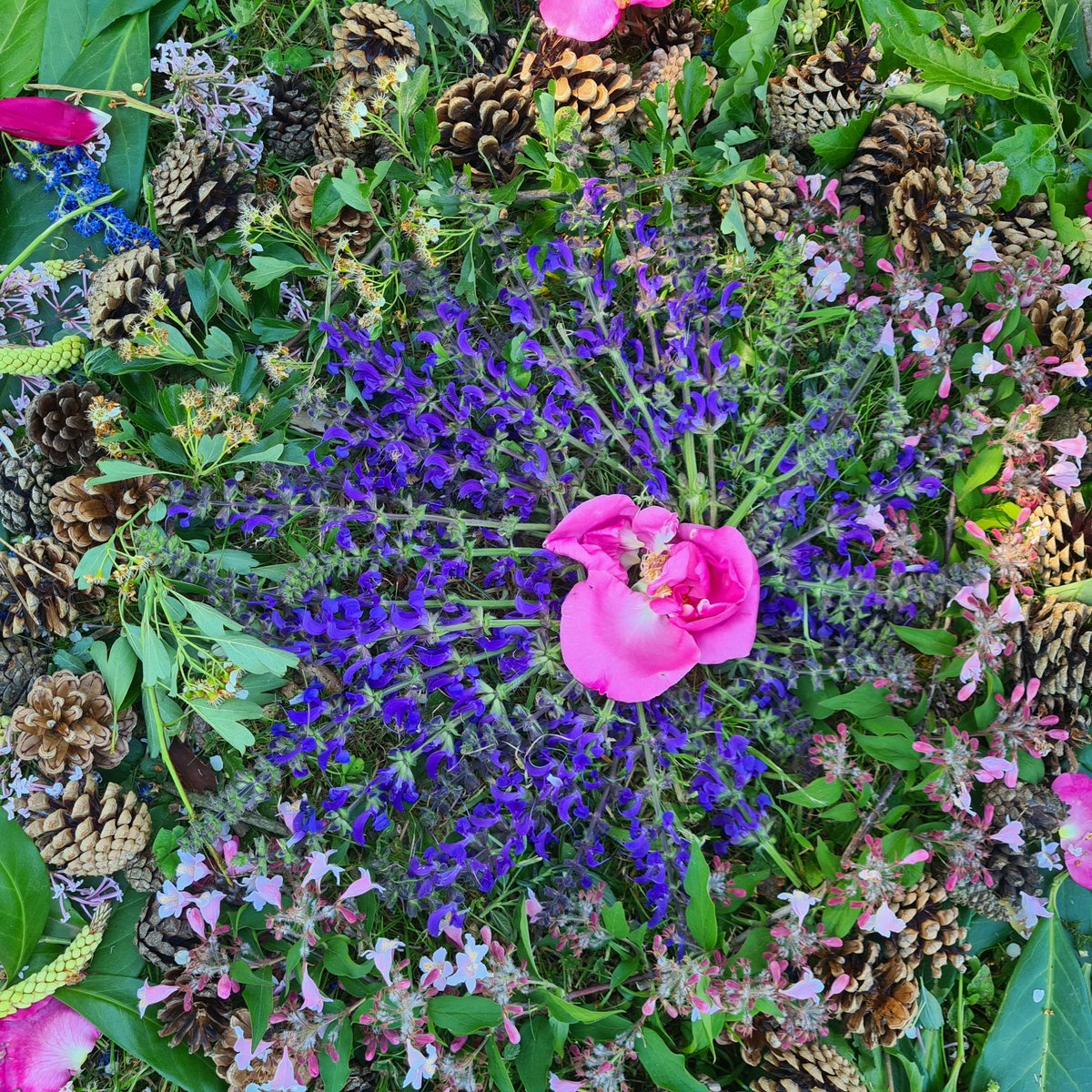 LeCHEP78's tweet photo. Ateliers #landart pour les #collegiens de 4e et 3e👏 sur le thème du #printemps 🌾🌹🌺💯
#ecoledusavoirvert #chep78 #lyceepro #lyceeprofessionnel #classede4eme #classede3ème #laventureduvivant #enseignement #etudes #agricole #esc #art #college #apprendreautrement #college https://t.co/TRU3CDwB98