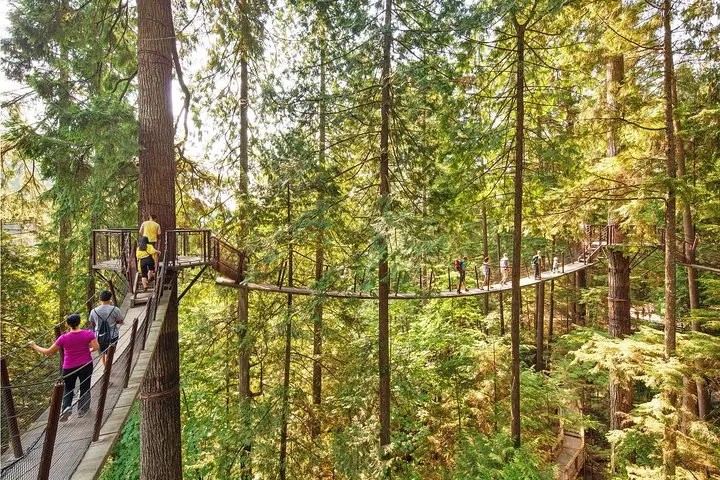 Best of Vancouver Highlight| Suspension bridge Free Pizza Party Tour Private #VancouverHighlights #SuspensionBridgeAdventure #PizzaPartyTour #PrivateTourVancouver #VancouverFun #ExploreVancouver #VancouverExperience #PrivateTourLife #AdventureAwaits #FreePizzaFun <a href="/global_duniya/">GlobalDuniya Premium Travel Agency in canada</a>