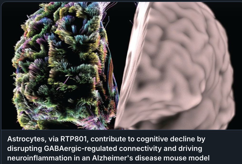 I'm excited to share our latest work, published in Alzheimer's &amp; Dementia: elevated astrocytic hippocampal RTP801 is critical in the loss of PV+ GABAergic interneurons,  impaired brain connectivity, cognitive decline, &amp; neuroinflammation in AD
🧪 doi.org/10.1002/alz.70…