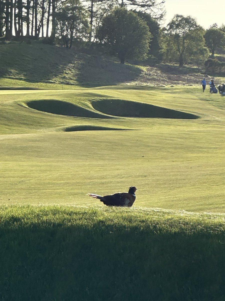 Stewart Black🏴󠁧󠁢󠁳󠁣󠁴󠁿🇪🇺🍀 tweet media