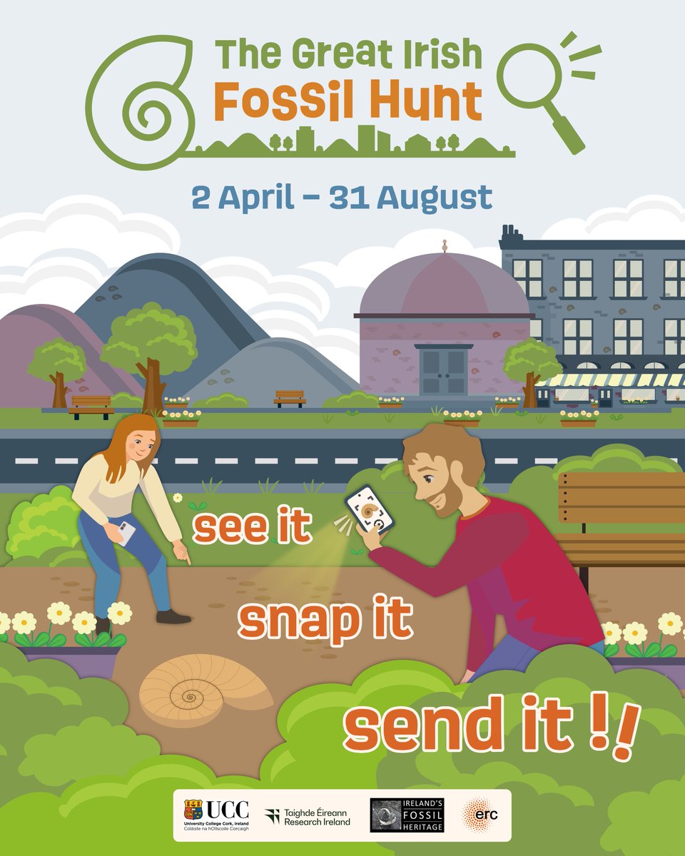 National Museum of Ireland (@nmireland) on Twitter photo DYK fossils are in building stones all over Ireland? Join The Great Irish Fossil Hunt to help create Ireland's first fossil map by photographing fossils.
Led by <a href="/UCC/">UCC Ireland</a> & <a href="/IrishFossils/">Ireland's Fossil Heritage</a>.
Please take photos only, do not remove fossils #CitizenScience ucc.ie/en/fossil-heri… DYK fossils are in building stones all over Ireland? Join The Great Irish Fossil Hunt to help create Ireland's first fossil map by photographing fossils.
Led by <a href="/UCC/">UCC Ireland</a> & <a href="/IrishFossils/">Ireland's Fossil Heritage</a>.
Please take photos only, do not remove fossils #CitizenScience ucc.ie/en/fossil-heri…