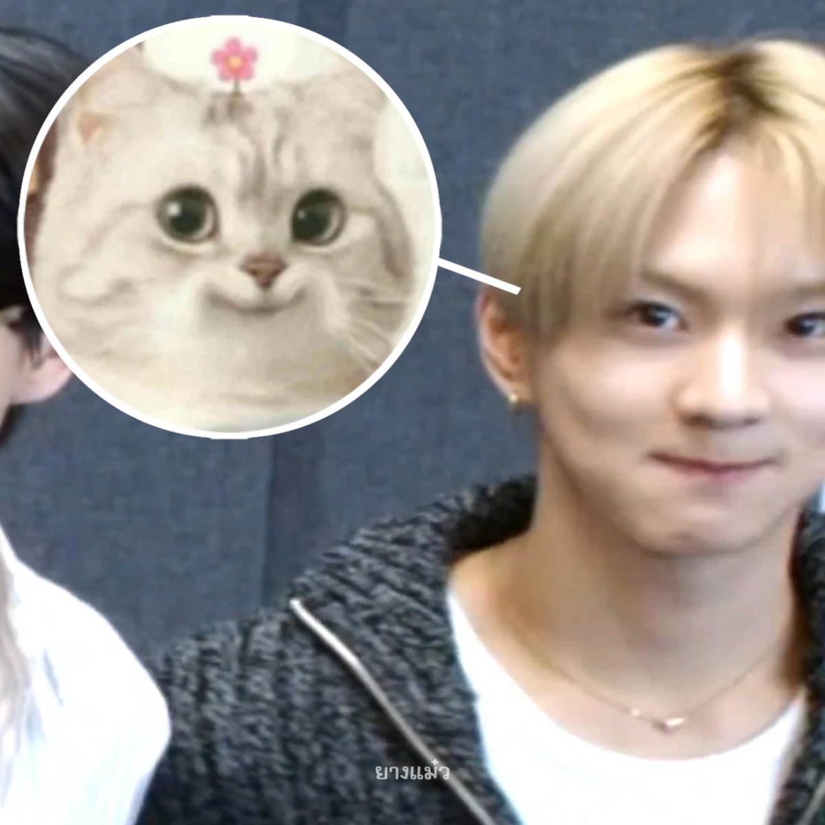 nattapipo's tweet photo. เหมือนมาก55555555555555555555 https://t.co/XJbtF72Og4