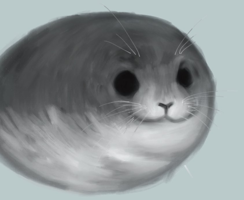 M0CHA_505's tweet image. Drawing Silly seals in college heh..
#seal #sealart