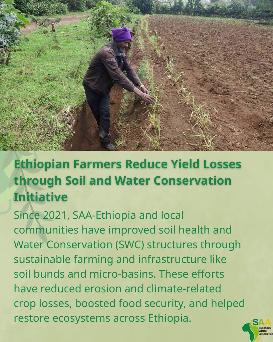 📰The April E-Newsletter "Special Edition: Ethiopia Issue" has been released! Please read "Voices from the Ground" that summarizes the activities of SAA Ethiopia &amp; the voices of local farmers 👩 🌾👨 🌾

🔗 Learn more at this link
saa-safe.org/newsletter/

🌱🌱🌱🌱🌱🌱🌱🌱🌱🌱🌱🌱