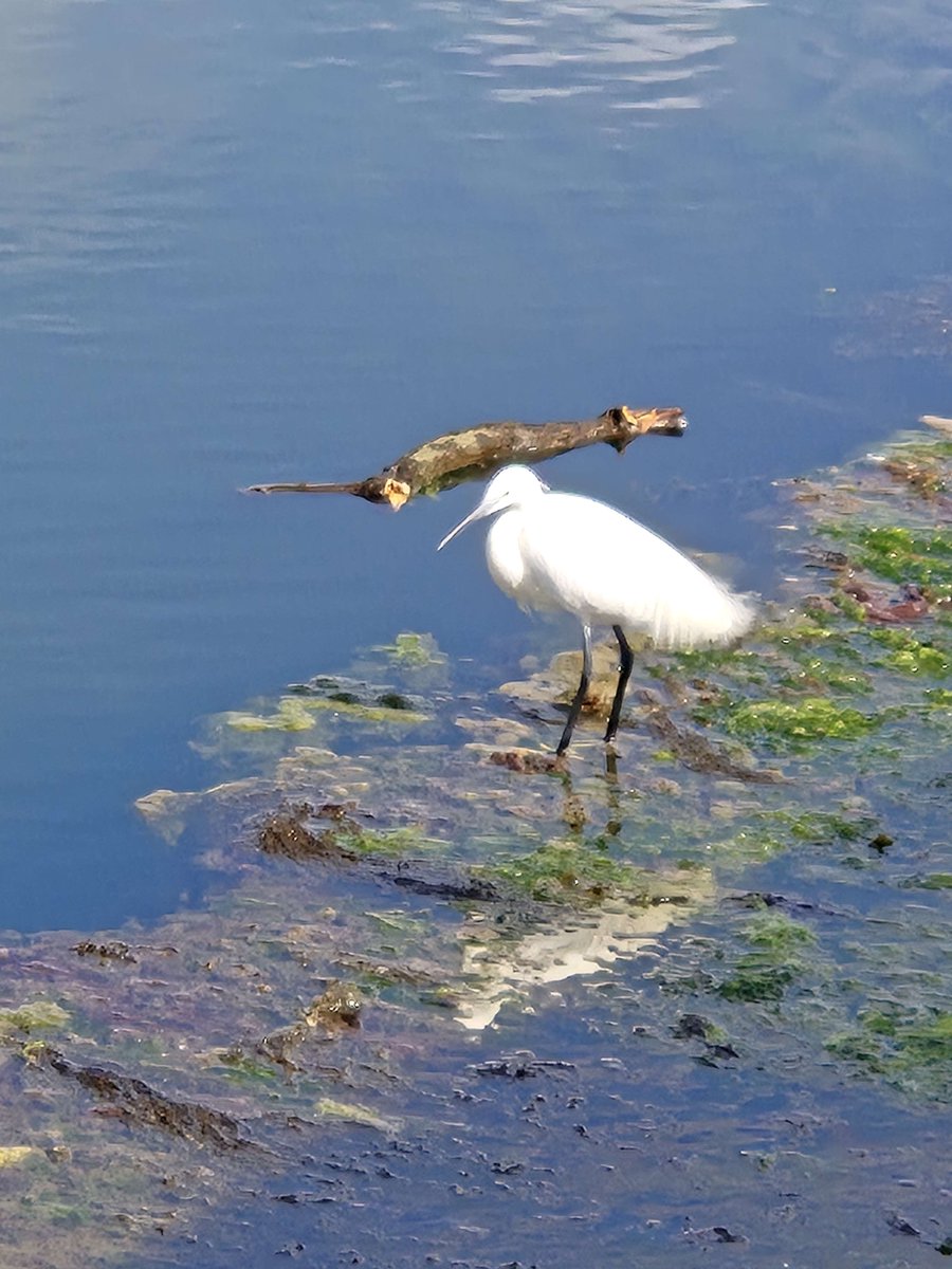 Waiting for the weather to warm up a little more! I'm desperate to get the paddleboard out after finding a lovely spot on my morning walk! 🌞Happy Wednesday!