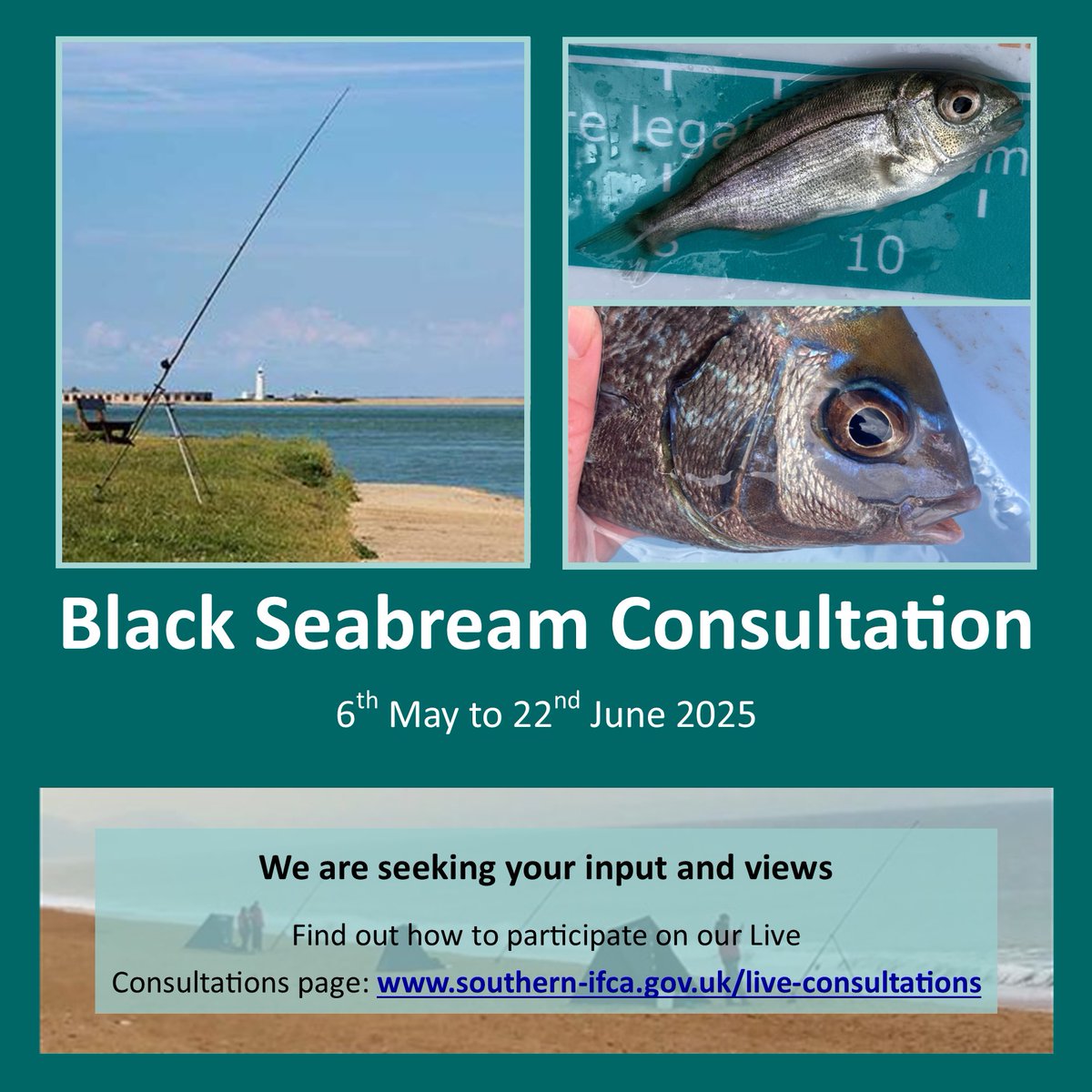 SouthernIFCA's tweet image. Live Consultation: Southern IFCA are seeking views on proposed Shared Principles for black seabream in 3 Dorset MCZs.
Consultation period: 6th May to 22nd June 2025
See our website southern-ifca.gov.uk/live-consultat… for more details and how to take part.