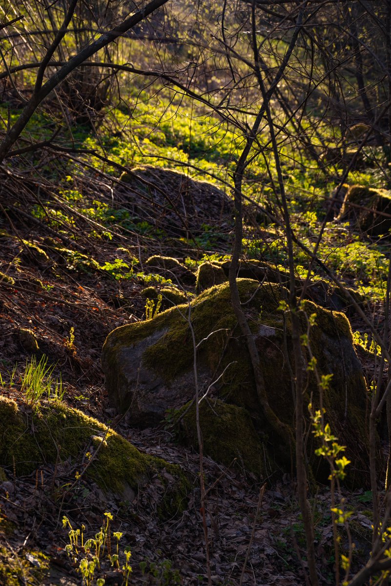 Springtime