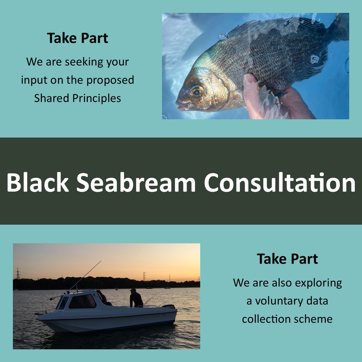 SouthernIFCA's tweet image. Live Consultation: Southern IFCA are seeking views on proposed Shared Principles for black seabream in 3 Dorset MCZs.
Consultation period: 6th May to 22nd June 2025
See our website southern-ifca.gov.uk/live-consultat… for more details and how to take part.