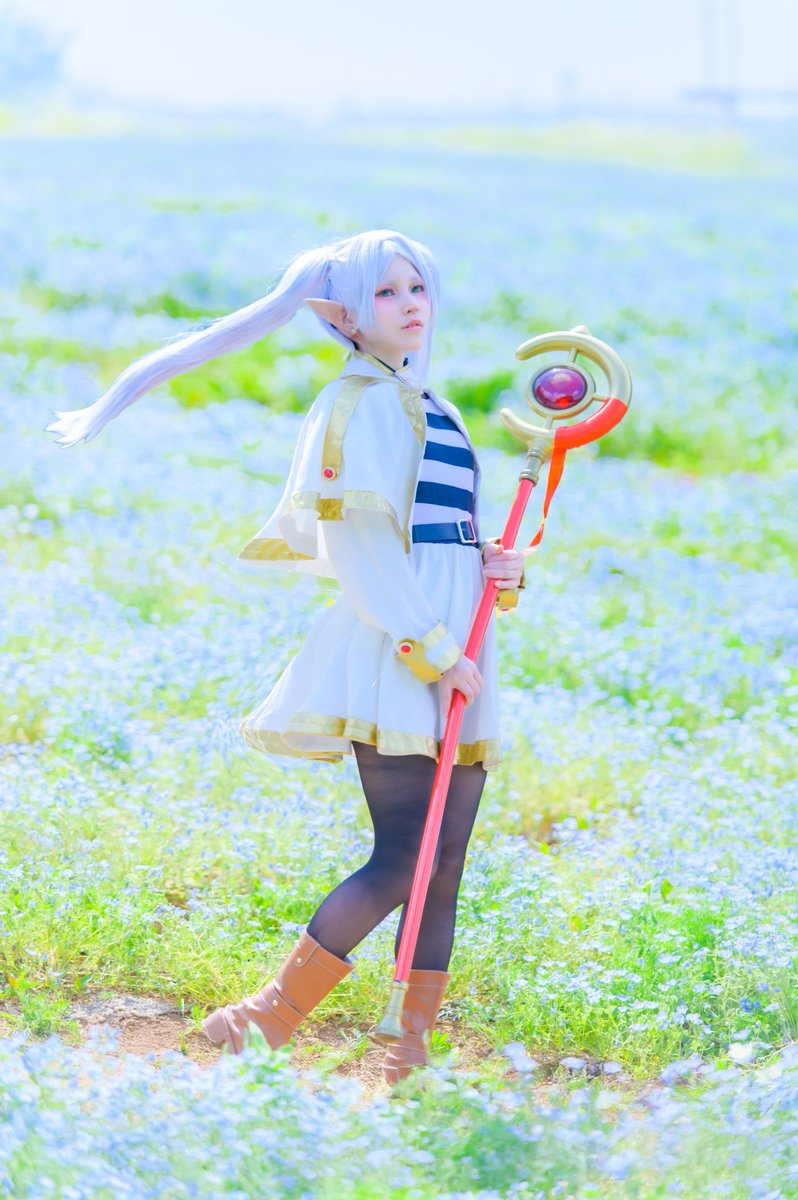 .

葬送のフリーレン

.
 photo <a href="/KintaChiro/">ライム</a> 
#のこのしまアイランドパーク