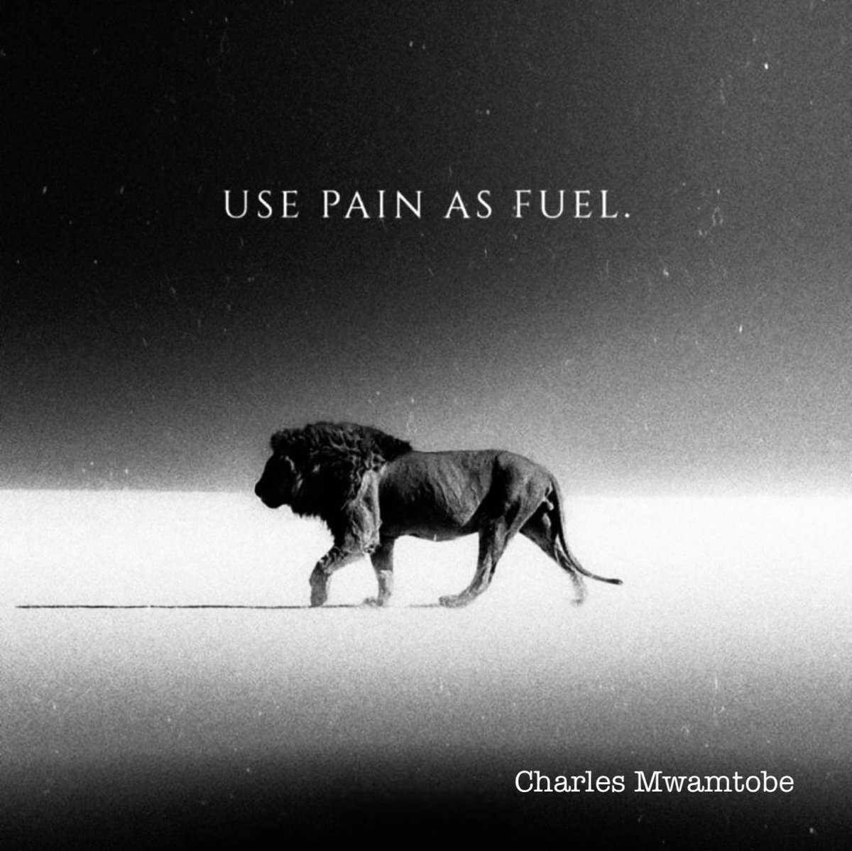 charzy03's tweet photo. USE PAIN AS FUEL TO MOVE ON💪 https://t.co/ltjkaduhA1