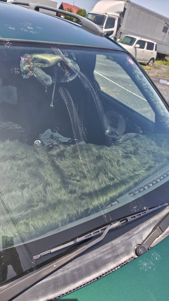 カペラに猫が乗ったみたいだけど
フロントガラスのとこで思い切りずり落ちてるの面白い