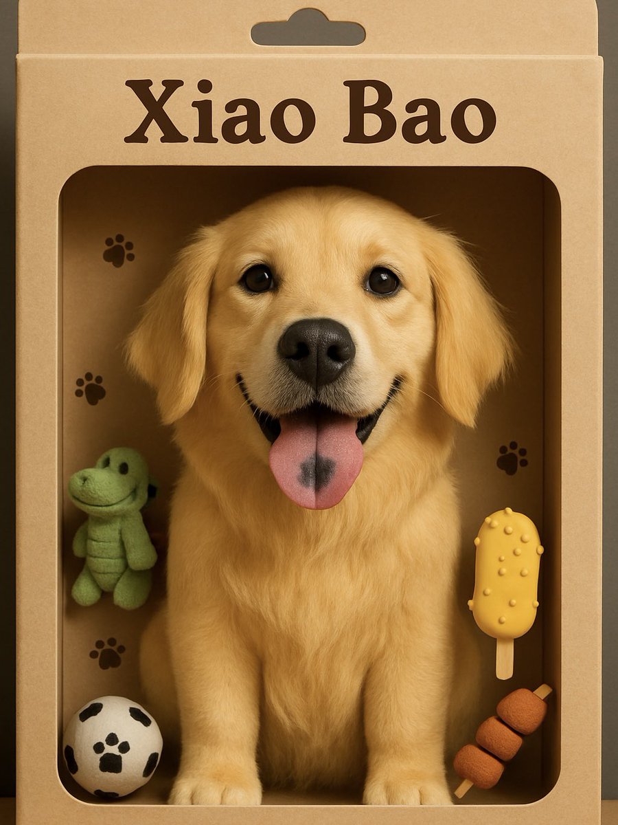metachatai's tweet image. Dog Plush Retail Display: 🐶✨ Adorable corgi, cockapoo, golden, poodle, and pomeranian plushies in chic khaki boxes with playful accessories. Made with ChatGPT image magic! #AIArt #DogPlush #RetailDisplay #ChatGPTImage