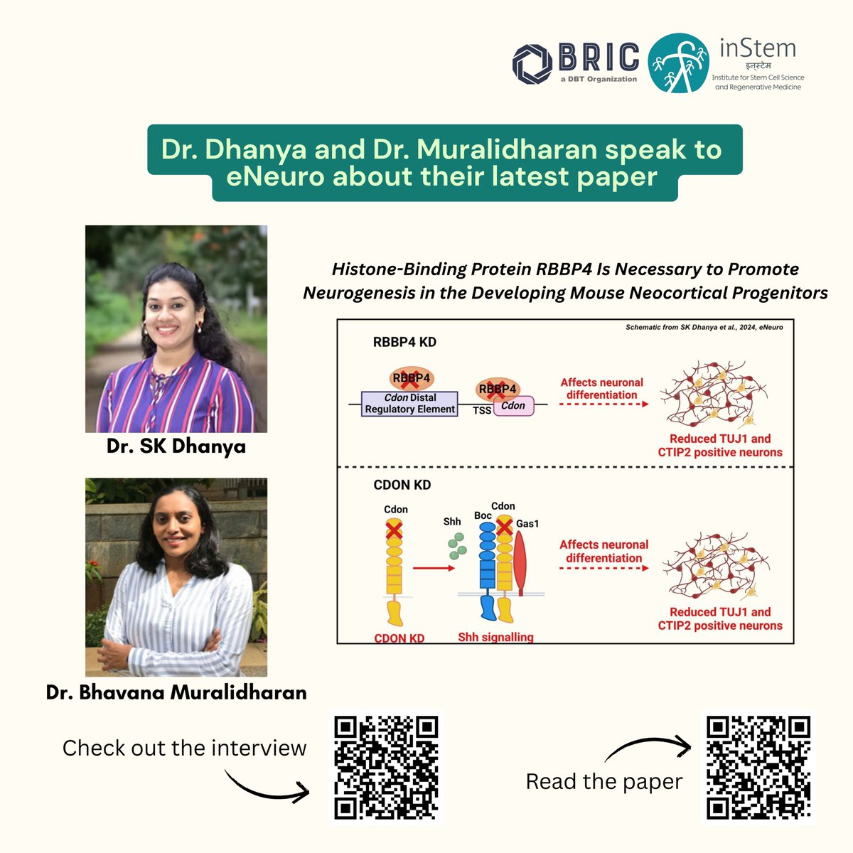 iBRIC-inStem (@dbt_instem) on Twitter photo Talking Science!
Check out this interview with authors Dr. SK Dhanya (<a href="/Dhanya_SK/">S.K.Dhanya</a>) and Dr. Bhavana Muralidharan (<a href="/mbhavana10/">Bhavana Muralidharan</a>) from <a href="/DBT_inStem/">iBRIC-inStem</a> in #eNeuro <a href="/SfNJournals/">SfN Journals</a> <a href="/SfNtweets/">Society for Neuroscience (SfN)</a>: blog.eneuro.org/2025/04/btp_dh….
They discuss their latest paper reporting a new role for RBBP4 (a Talking Science!
Check out this interview with authors Dr. SK Dhanya (<a href="/Dhanya_SK/">S.K.Dhanya</a>) and Dr. Bhavana Muralidharan (<a href="/mbhavana10/">Bhavana Muralidharan</a>) from <a href="/DBT_inStem/">iBRIC-inStem</a> in #eNeuro <a href="/SfNJournals/">SfN Journals</a> <a href="/SfNtweets/">Society for Neuroscience (SfN)</a>: blog.eneuro.org/2025/04/btp_dh….
They discuss their latest paper reporting a new role for RBBP4 (a