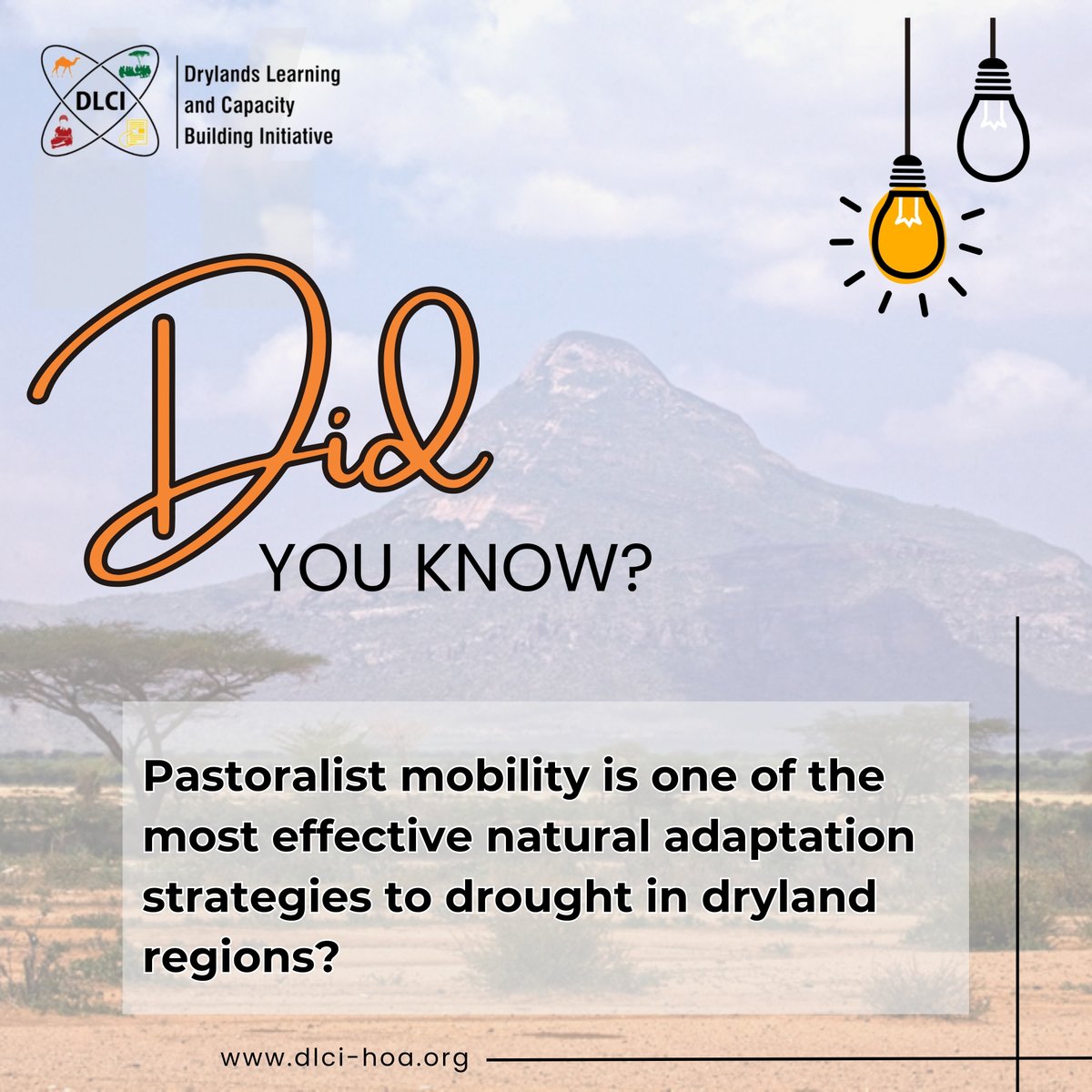 The IGAD Transhumance Protocol supports this by enabling safe, legal, and coordinated cross-border livestock movement. It protects pastoralist rights, improves regional cooperation, and ensures that mobility remains a lifeline — not a risk — during times of climate stress.
