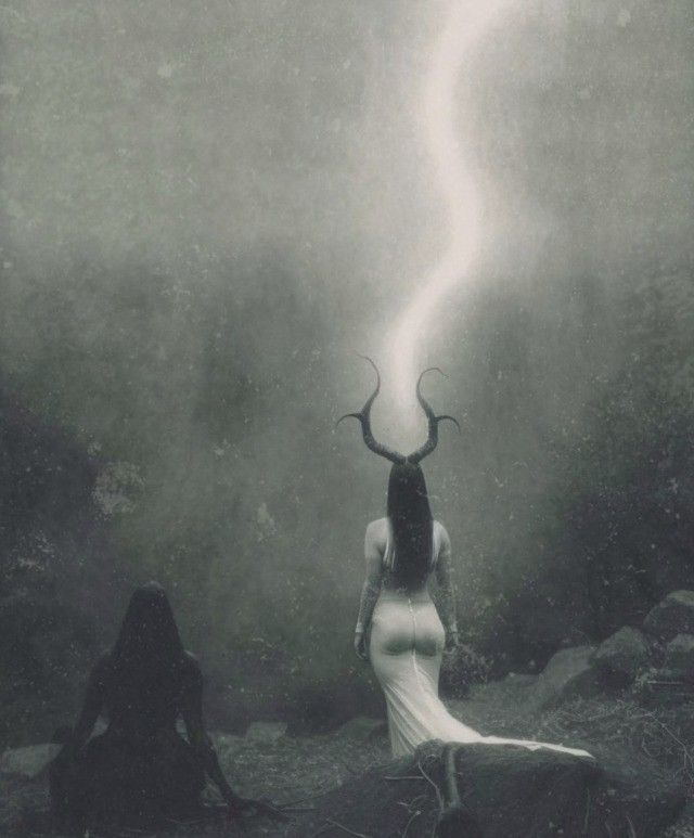 Wiking Wings (@wikingwings) on Twitter photo 