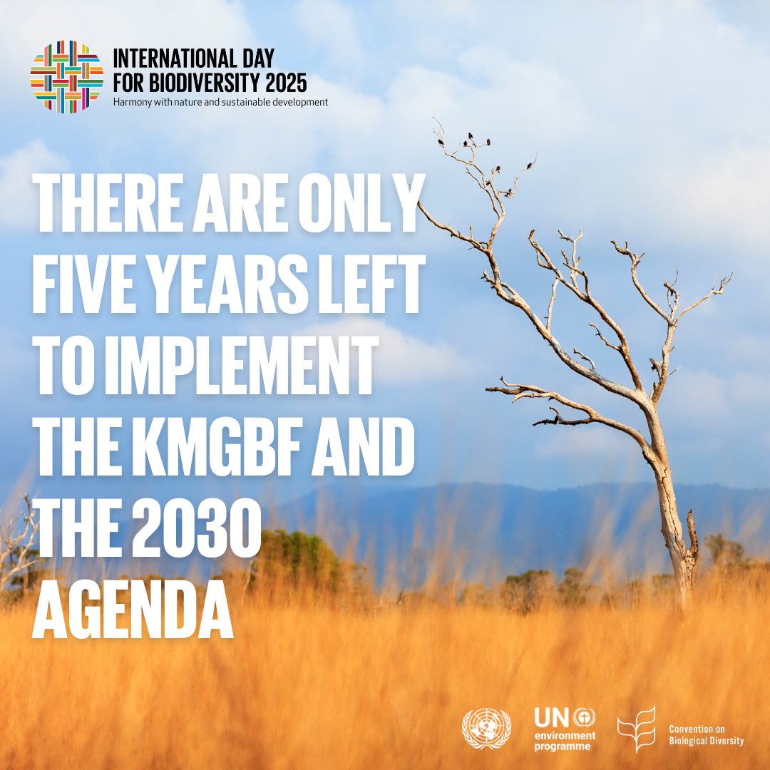 ⏳ The clock is ticking

2030 is the deadline the world agreed on for the implementation of the 23 #KMGBF targets and the 17 #GlobalGoals.

We must accelerate action — for nature and for people, and for our common future. 

#BiodiversityDay