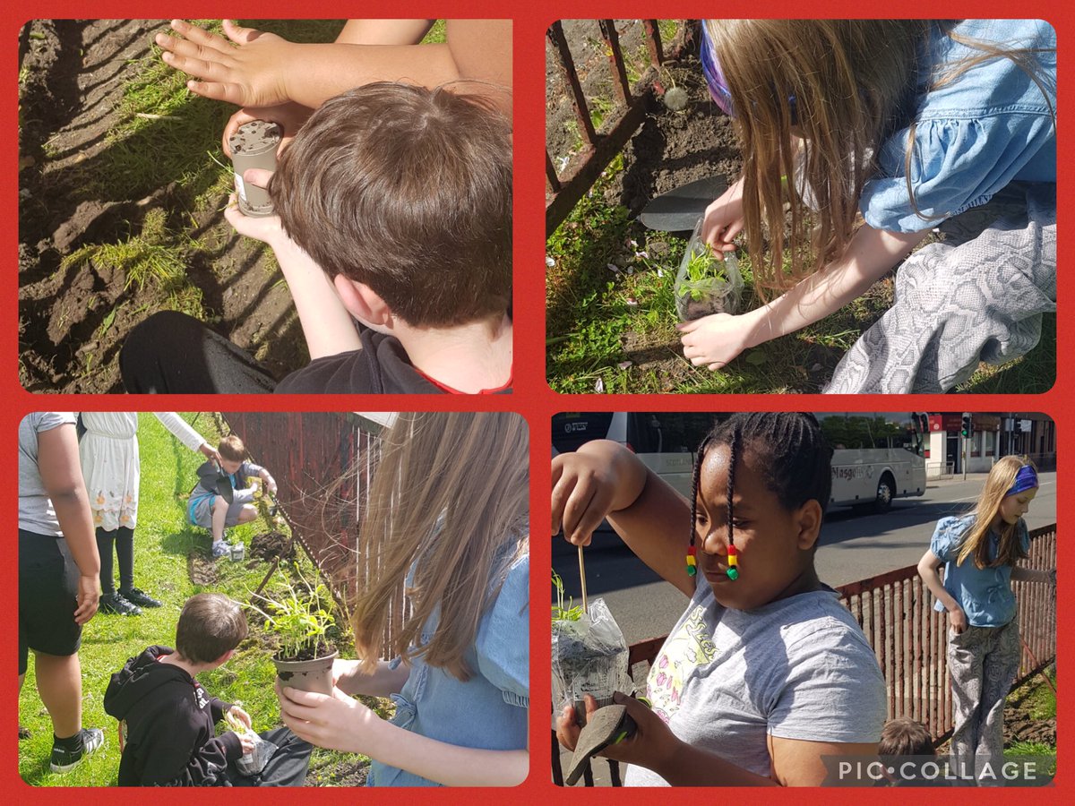 Mrs Woolfries tweet media