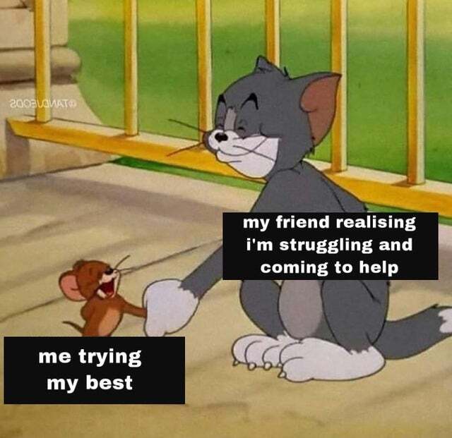 WholesomeMemes (@wholesomememe) on Twitter photo 