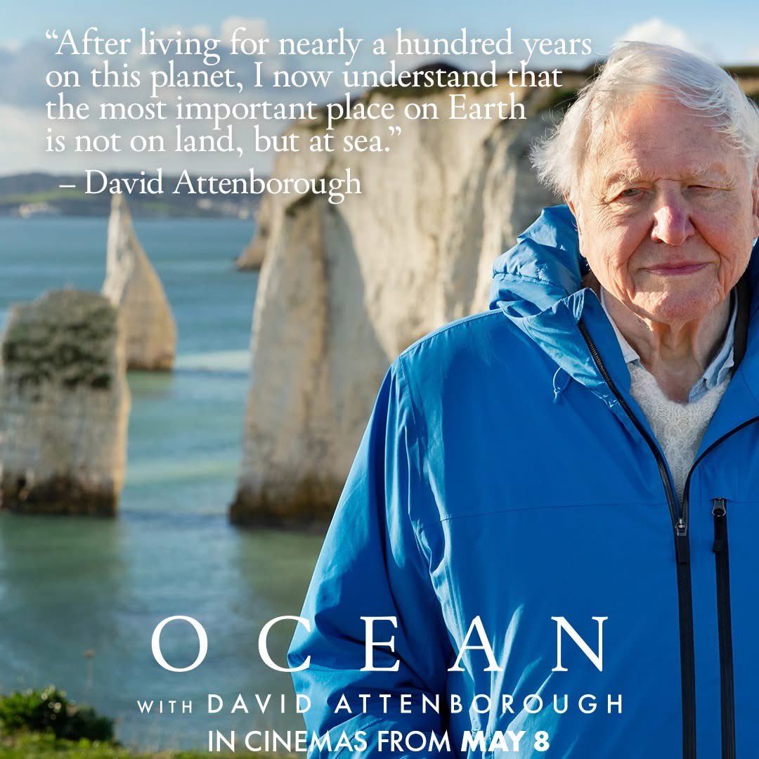 🌊 Ocean with David Attenborough screening from tomorrow 🎟️ Book here 👉 wtwcinemas.co.uk/film/ocean-wit…
