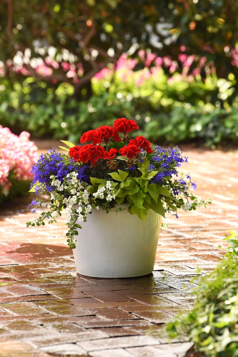 The 3rd Anniversary edition of Winnipeg Gardener newsletter is here: garden design tips, container recipes, soil health, answers to your questions, arborist advice, hydrangea care, new plants, books &amp; more:
 winnipegfreepress.com/briefings/may-…

#gardening #newsletter #designtips #solutions