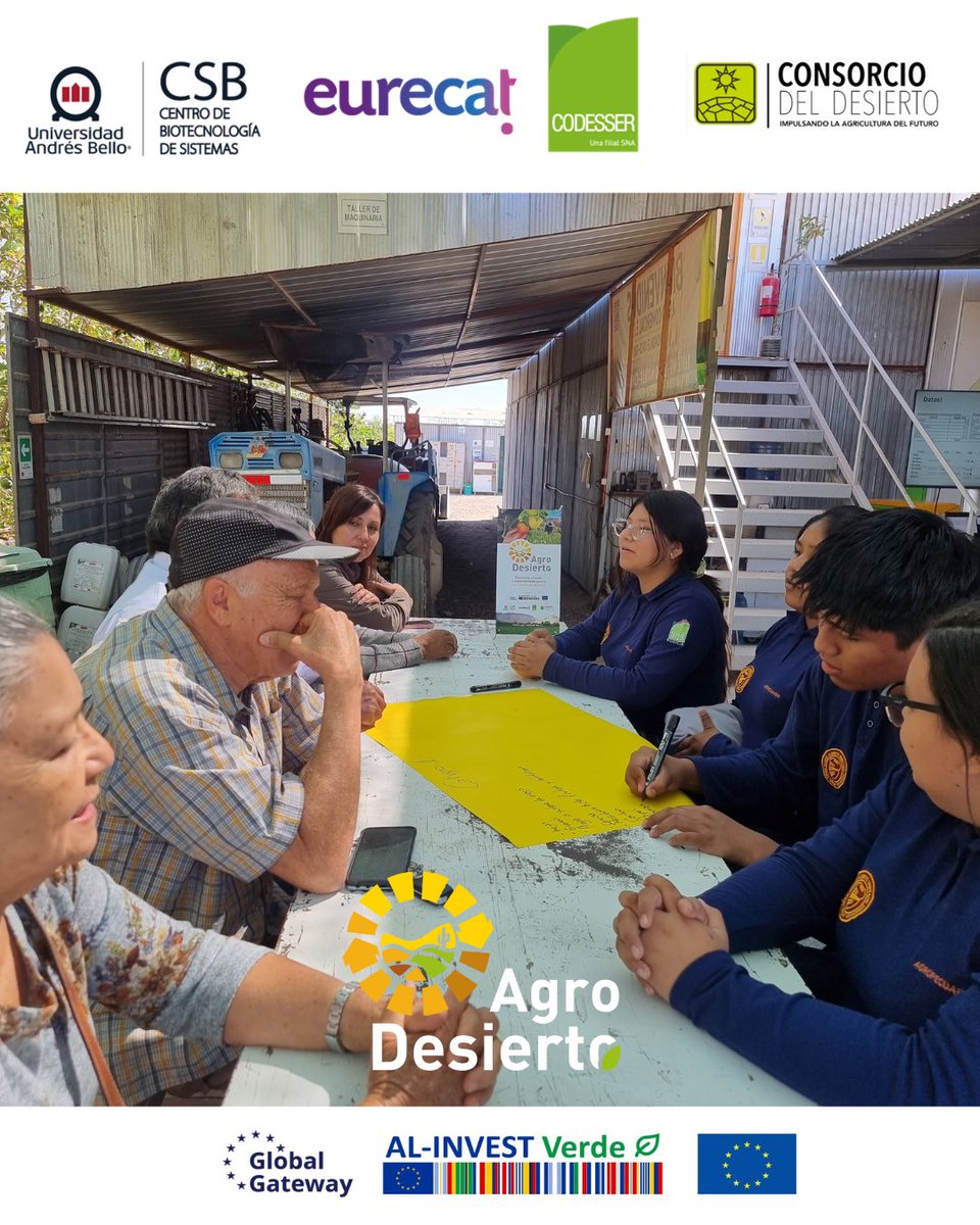 CSB_UNAB's tweet image. 🌵Pequeños y medianos agricultores, autoridades municipales, estudiantes e investigadores, se reunieron en Pica a explorar soluciones para transformar residuos agrícolas en valiosos recursos.
🔗 Para saber más, revisa: noticias.unab.cl/agricultores-e…
#AgroDesierto #EconomíaCircular