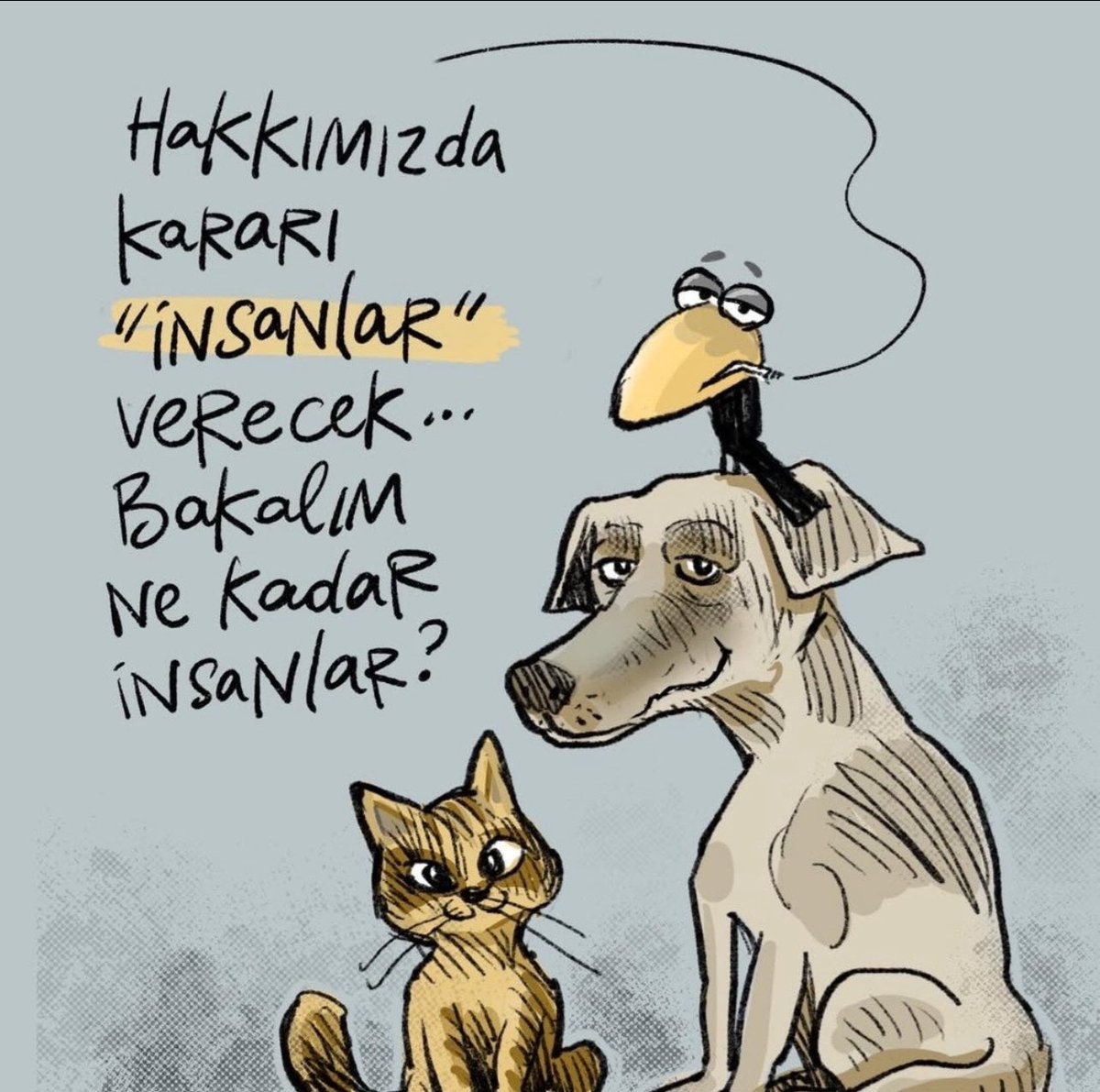 Kararı insancıklar verdi. İnsan olsalardı o karar verilmezdi. Cezayı afetler çok güzel verecektir. Ahınız yerde kalmayacaktır.  #AYMYasayıİptalEt