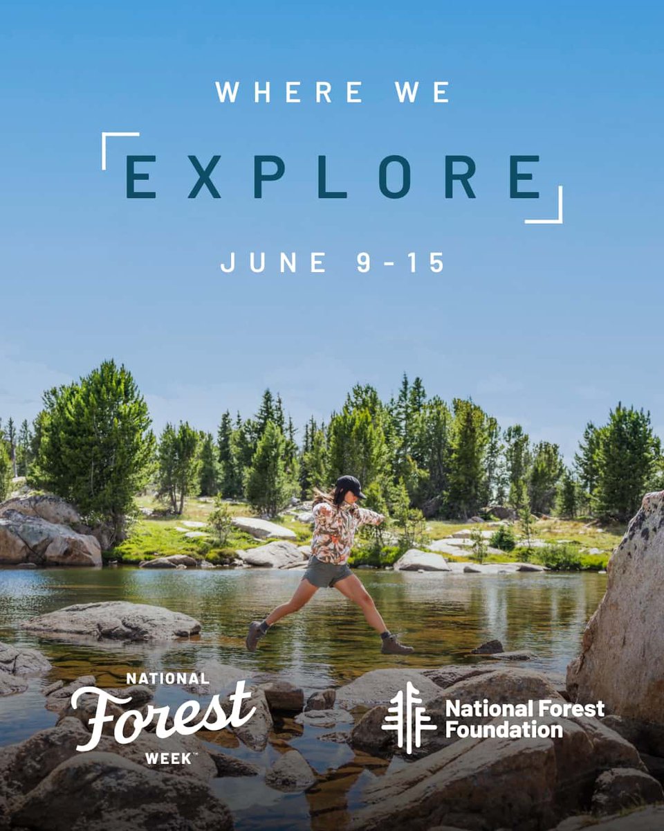 Hold onto your hiking boots because #NationalForestWeek is almost here, and we've got a stacked lineup:   

🗓️Nationwide events   
📸Photo contest with GREAT prizes   
🧢Limited edition merch 

Celebrate #WhereWeComeAlive at nationalforestweek.org!