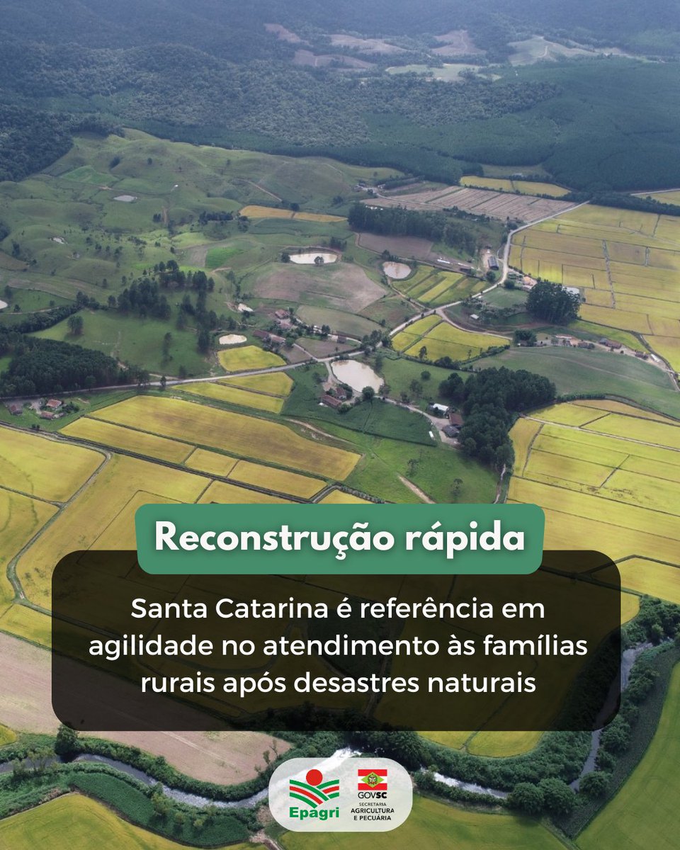 A região dessa foto, em Mirim Doce (SC), passou por sete enchentes seguidas no fim de 2023.

Com ajuda da Epagri e recursos do Programa Reconstrói SC, os produtores recuperaram rapidamente suas lavouras de arroz e os seus canais de irrigação.

Leia aqui: x.gd/a9VKU