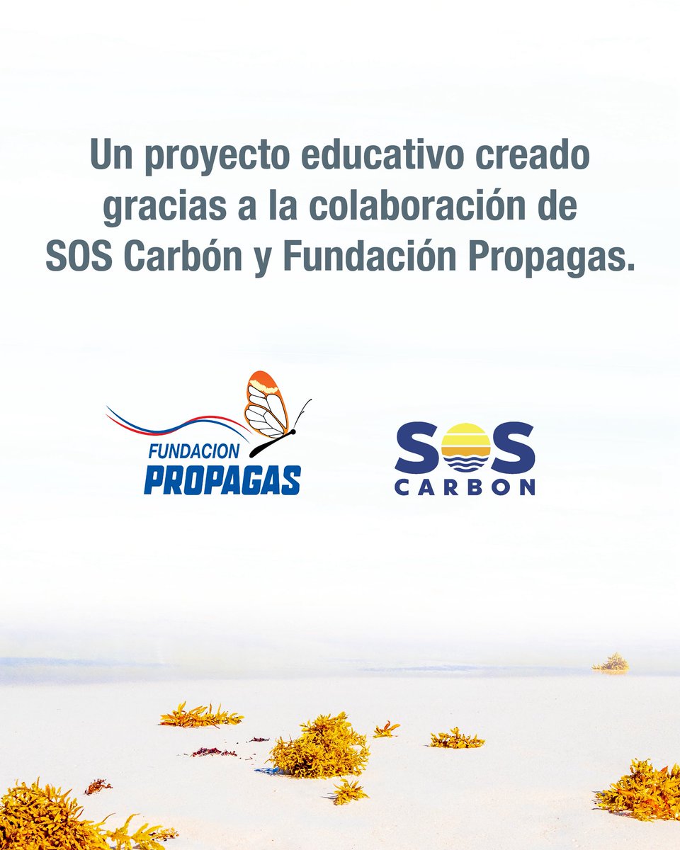 ¿Quieres aprender más sobre el sargazo y su impacto en nuestros ecosistemas? 🏝️ 🌊🇩🇴

🔗 Visita el enlace ubicado en nuestra biografía y descarga gratis la guía informativa completa.