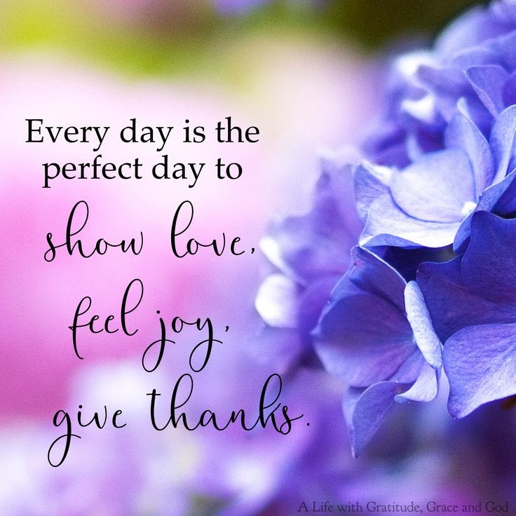 POSITIVITY (@positivitysaid) on Twitter photo 