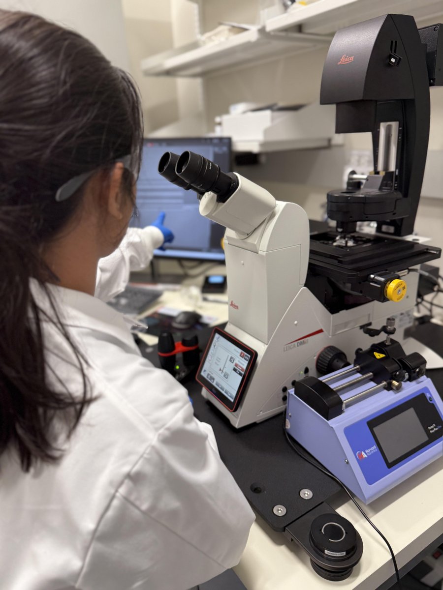 BUCollegeofENG's tweet image. With an Innovator Award from the Rainin Foundation, Miguel Jimenez and Liang Hao aim to create a next-generation microbial therapy for the millions of people suffering from inflammatory bowel diseases.
spr.ly/6018N1448