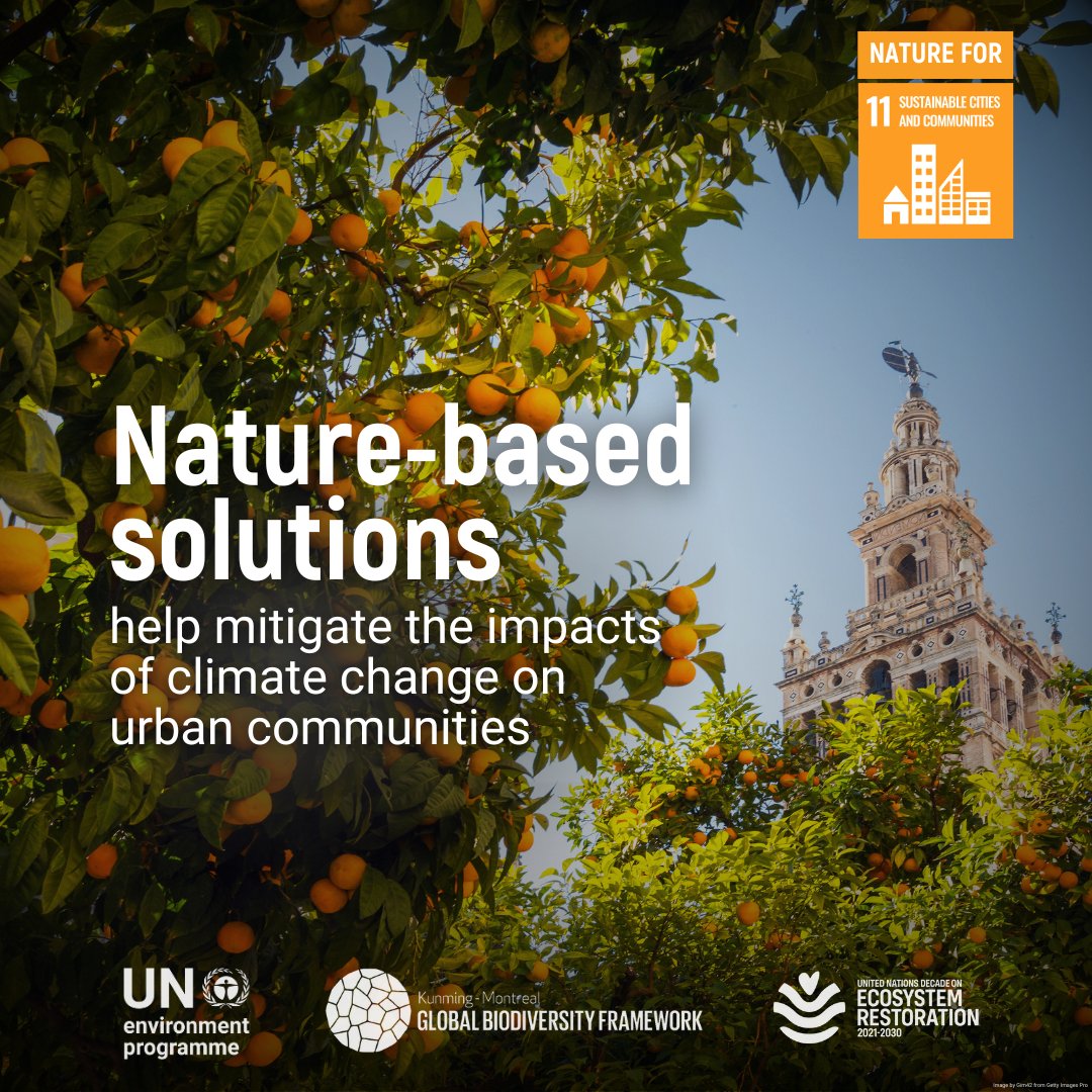 UN Biodiversity tweet media