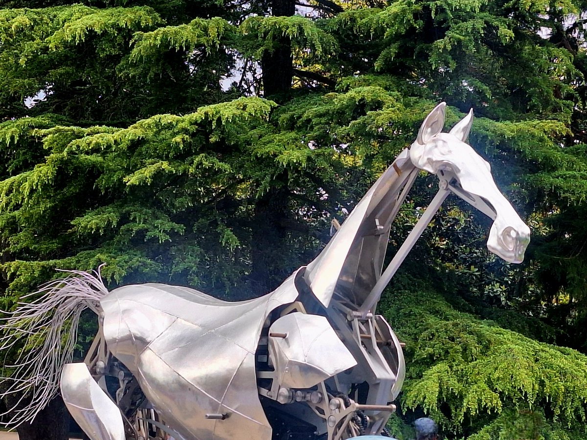 muriel soret (@murielsoret) on Twitter photo Un petit air de <a href="/Paris2024/">Paris 2024</a> à #Bordeaux avec #Zeus, le superbe cheval mécanique qui nous a enchantés en "volant" sur la #Seine, lors de la cérémonie d'ouverture 😍 Un petit air de <a href="/Paris2024/">Paris 2024</a> à #Bordeaux avec #Zeus, le superbe cheval mécanique qui nous a enchantés en "volant" sur la #Seine, lors de la cérémonie d'ouverture 😍