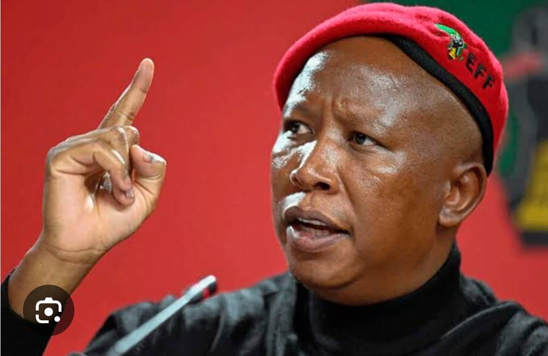 MDN NEWS tweet media