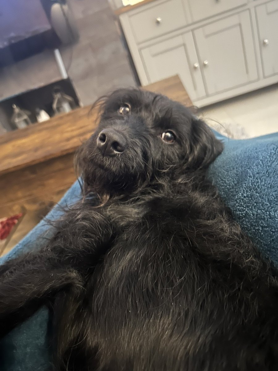 Michelle Samson tweet media