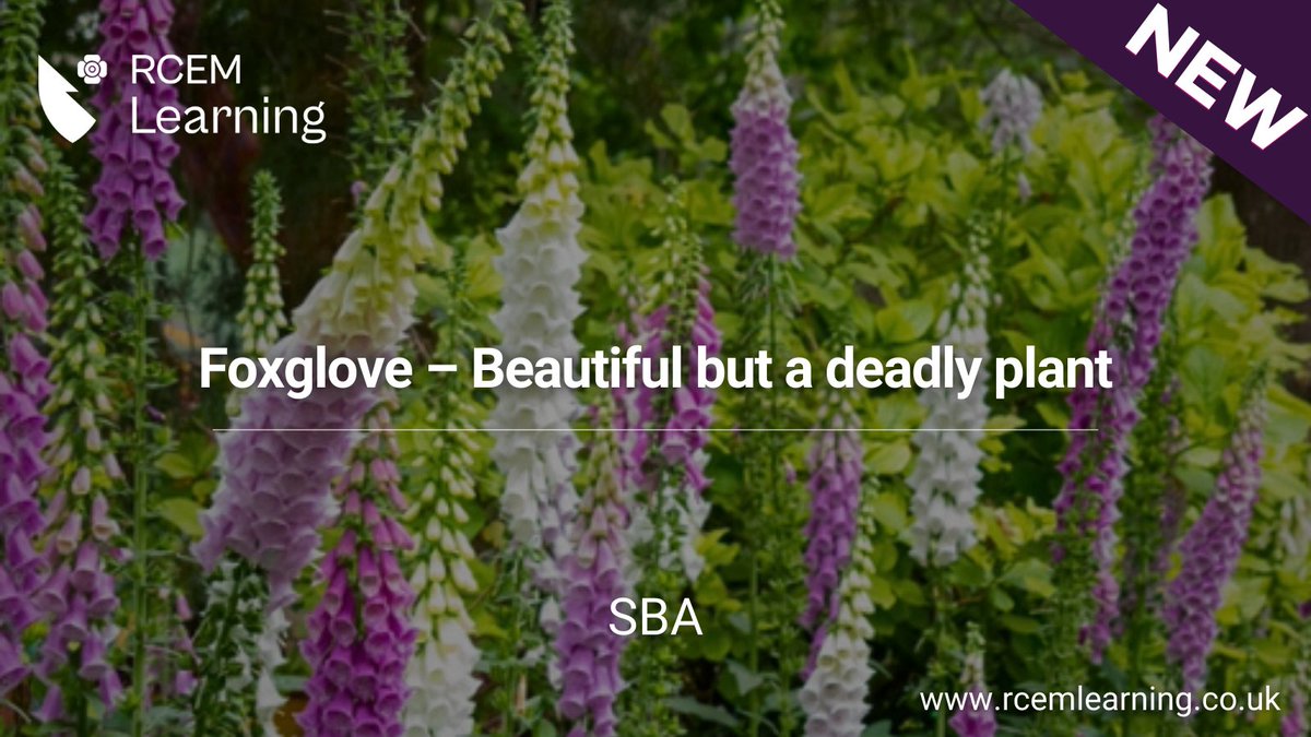 NEW: An adolescent male presents with abdominal pain, vomiting and bradyarrhythmia after ingesting foxglove plant leaves with an intention to harm himself. 

Read our latest #SBA here: rcemlearning.co.uk/modules/foxglo…