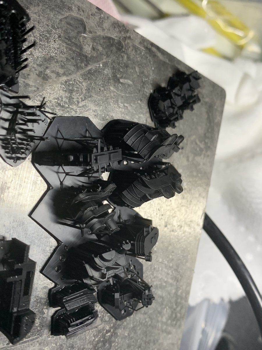 ZQPSZQPS's tweet image. #アルペジオ 
#WF2025S