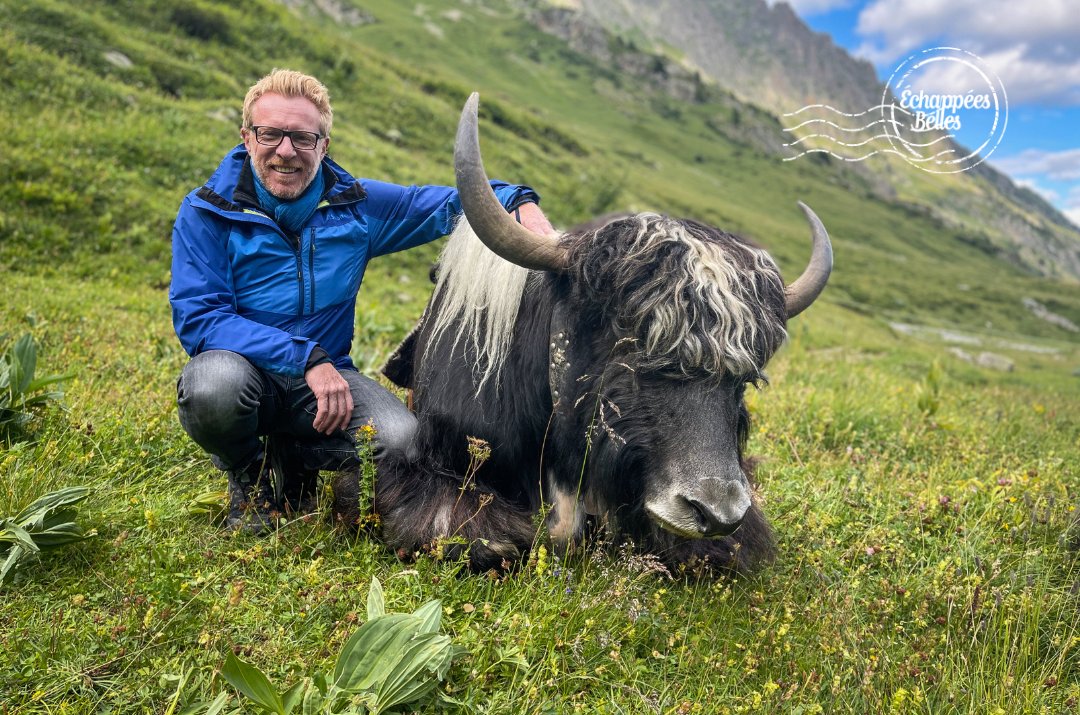 Ce soir, <a href="/jpitorin/">Jérôme Pitorin</a> vous fait découvrir la #Suise en été dans des Echappées Belles, à 21h sur France 5 !   

Pour revoir l'émission #EchappéesBelles, c'est sur
<a href="/FranceTV/">France tv</a>➡️bit.ly/EchappeesBelle……
<a href="/servicePresseF5/">France5servicepresse</a> <a href="/Francetele/">France Télévisions</a>