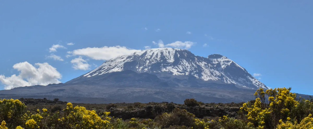 UN Sustainable Development Group 🇺🇳 (@un_sdg) on Twitter photo More than 2 million people depend on water💧 from #Kilimanjaro, Africa's highest peak.
Our <a href="/UN/">United Nations</a> teams on the ground, including <a href="/UNESCO/">UNESCO 🏛️ #Education #Sciences #Culture 🇺🇳</a> and <a href="/FAO/">Food and Agriculture Organization</a>, support communities in managing this vital resource.
👉 Learn about this collaboration #ForPeopleForPlanet: bit.ly/4jTCJMM More than 2 million people depend on water💧 from #Kilimanjaro, Africa's highest peak.
Our <a href="/UN/">United Nations</a> teams on the ground, including <a href="/UNESCO/">UNESCO 🏛️ #Education #Sciences #Culture 🇺🇳</a> and <a href="/FAO/">Food and Agriculture Organization</a>, support communities in managing this vital resource.
👉 Learn about this collaboration #ForPeopleForPlanet: bit.ly/4jTCJMM