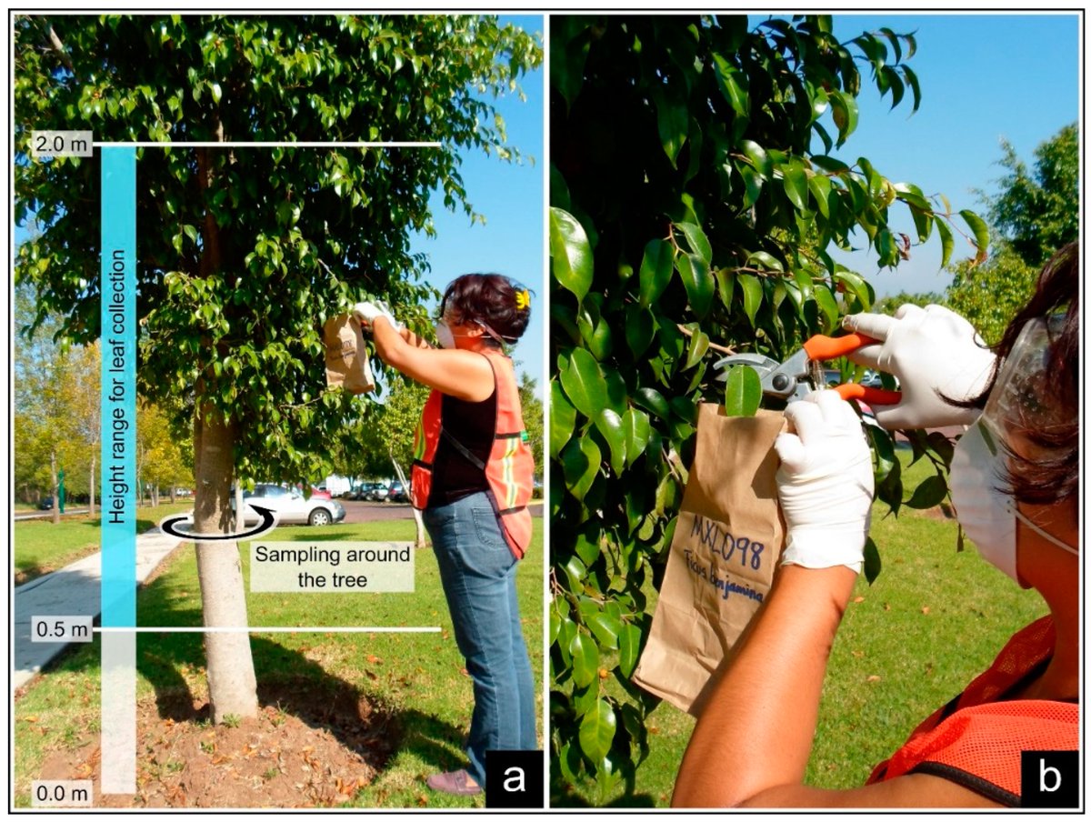 #NewArticle Biomagnetic Monitoring of Urban Pollution: The Case of Aburrá Valley, Colombia 🔗 doi.org/10.3390/land13… #EnvironmentalMagnetism #Geostatistics #UrbanLandUse